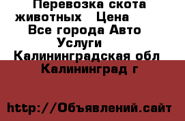 Перевозка скота животных › Цена ­ 39 - Все города Авто » Услуги   . Калининградская обл.,Калининград г.